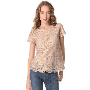Joie Short Sleeve Lace Blouse